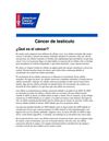 Cáncer de testículo.