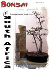 Bonsai in South Africa Aug/Sep 2011