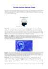The Brain Functions And Brain Fitness