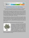 House Exhaust Fans: Let’s Talk Savings