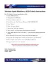 Movistar Spain Blackberry 8220 Unlocking Instructions