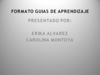 formato , guias de aprendizaje
