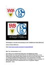 VfB Stuttgart vs Schalke 04 Bundesliga 6.8.2011 SelMcKenzie Selzer-McKenzie