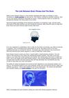 The Link Between Brain Fitness And The Brain