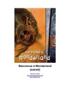 Bienvenue à Wonderland (nouvelle) - Extrait