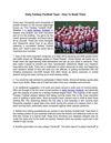 Daily Fantasy Football Team - How To Build Them