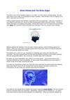 Brain Fitness And The Brain Organ