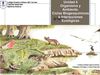 PPT Clase 1Ecología 7mos Básicos