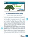 The Utilities of Social Media Optimization Company 