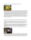 There_is_absolutely_no_Stop_for_the_Various_Models_of_Games_for_Kids