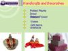 Buy Handicrafts & Decorative,Indian Handicrafts,Online Shopping India - Shoponline.in 