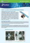 GeoEye-1: Hoja Técnica