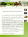 GreenVanLines Keeps Ahead Of Green Moving Companies Introduce Eco-friendly Greencrate Rental Service