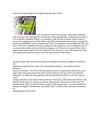 Examine_the_loan_company_with_regard_to_payday_loans_online