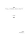 El Medio Ambiente