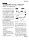 II.A_The Combined Synthesis and Coloration of Poly_lactic acid_291_ftp
