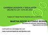 CARRERA DOCENTE