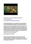 Affen Berberaffen Tiere Animals SelMcKenzie Selzer-McKenzie