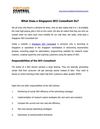 What does a singapore seo consultant do 