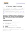 Why you'll need a singapore seo consultant 