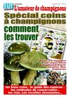 L'amateur de Champignons édition 2011 (version numérique)