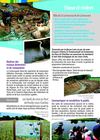 Fiche-fleuve-bd