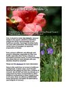 Complementary Therapies for Battling Breast Cancer