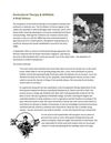 Horticultural Therapy & WNF&GA: A Brief History