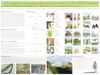Poster: Sensory Garden Design for Adolescents with Dual Sensory Impairment