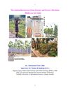 The relationship between Urban Forestry and Poverty Alleviation
