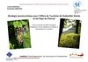 Stratégie de développement oenotouristique pour l'Office de Tourisme Intercommunal de Guebwiller-Soultz et les Pays...