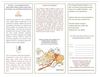 PHI Brochure Bside