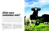 una vaca puede contaminar más que un automovil