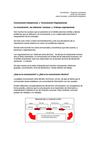 La comunicación interpersonal y comunicación organizacional (Isabel González)