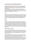 Facts about Radio Flyer Pathfinder Wagon Red
