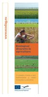 Ecodiag en roumain