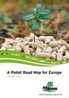 Wood Pellets na Europa 