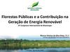 Florestas Públicas e a Contribuição na Geração de Energia Renovável - Marcus Vinicius Alves - Serviço...
