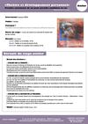 Stage-Atelier "Théâtre et développement personnel" 