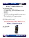 Blackberry Torch 9810 Unlocking Instructions