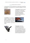 Generación y arquitectura de los robots 