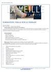 Formation veille sur le terrain dans le cadre de l'intelligence économique 