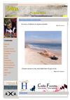 Letras, Tu Revista Literaria nº 39, octubre 2011 
