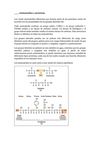 Aminoácidos y proteínas