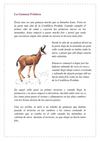 10 La Gamuza Friolera