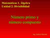 matematicas divisores