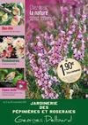 Tract Novembre Malicorne