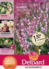 Tract Novembre Buissonets