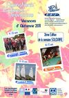 AFFICHE PLANNING SAJ TOUSSAINT 2011 PEAULE 