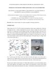 PETROLOGY OF THE 2006-2007 TEPHRAS FROM UBINAS VOLCANO, SOUTHERN PERU